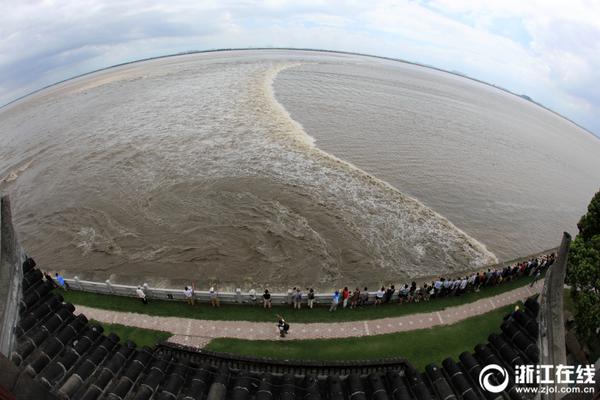 张驰登场代表海牛首秀时部分球迷喊“干X鲁能”，戴琳留言点评
